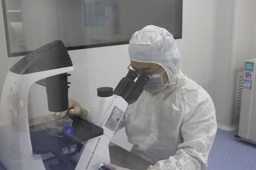 諾未科技 生命科學研究再創(chuàng)新，生物技術(shù)研發(fā)新突破