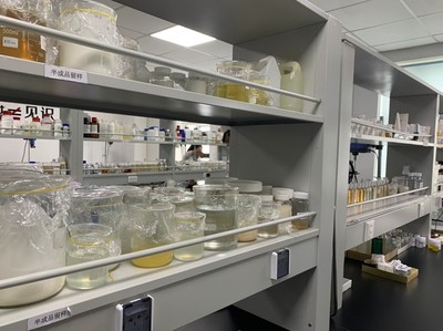 小康夢(mèng)圓 | 留學(xué)歸國(guó)創(chuàng)業(yè)者鄭春陽(yáng) 以“酶”為筆，在通信技術(shù)開發(fā)中書寫生物企業(yè)的創(chuàng)新故事