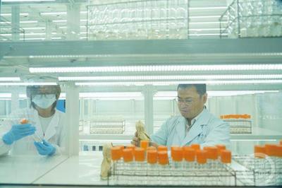 科技創(chuàng)新引領(lǐng)綠色發(fā)展 特種蠶絲、楊樹(shù)新品種與長(zhǎng)江生態(tài)保護(hù)的協(xié)同探索