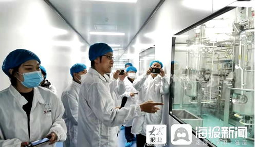 石藥集團(tuán)煙臺(tái)生物醫(yī)藥高科技產(chǎn)業(yè)園 打造全國(guó)最大生物醫(yī)藥產(chǎn)業(yè)化基地，融合通信技術(shù)開(kāi)發(fā)新動(dòng)能